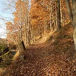 Bed & Breakfast Gerus 3*