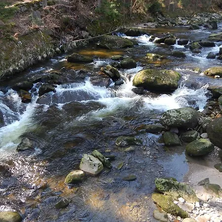 Bed & Breakfast Dom Goscinny Gerus