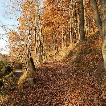 Bed & Breakfast Gerus 3*