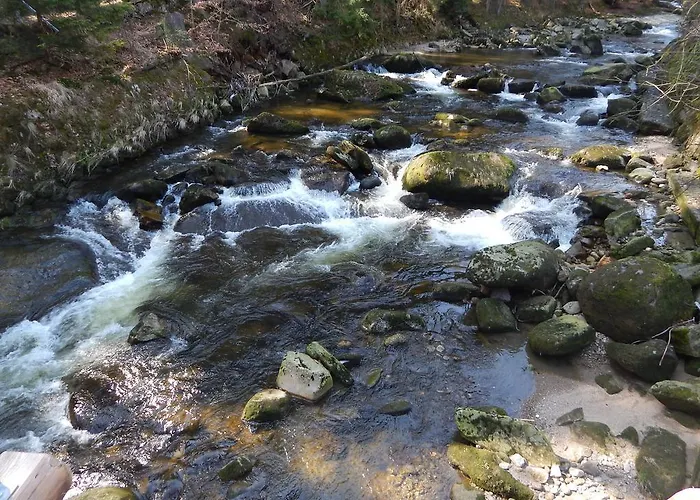 Bed & Breakfast Dom Goscinny Gerus