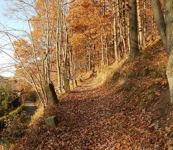 Bed & Breakfast Dom Goscinny Gerus 3*